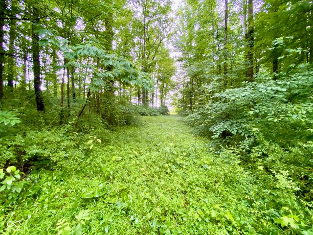 3605 S County Road 700 E, Dupont, IN 47231