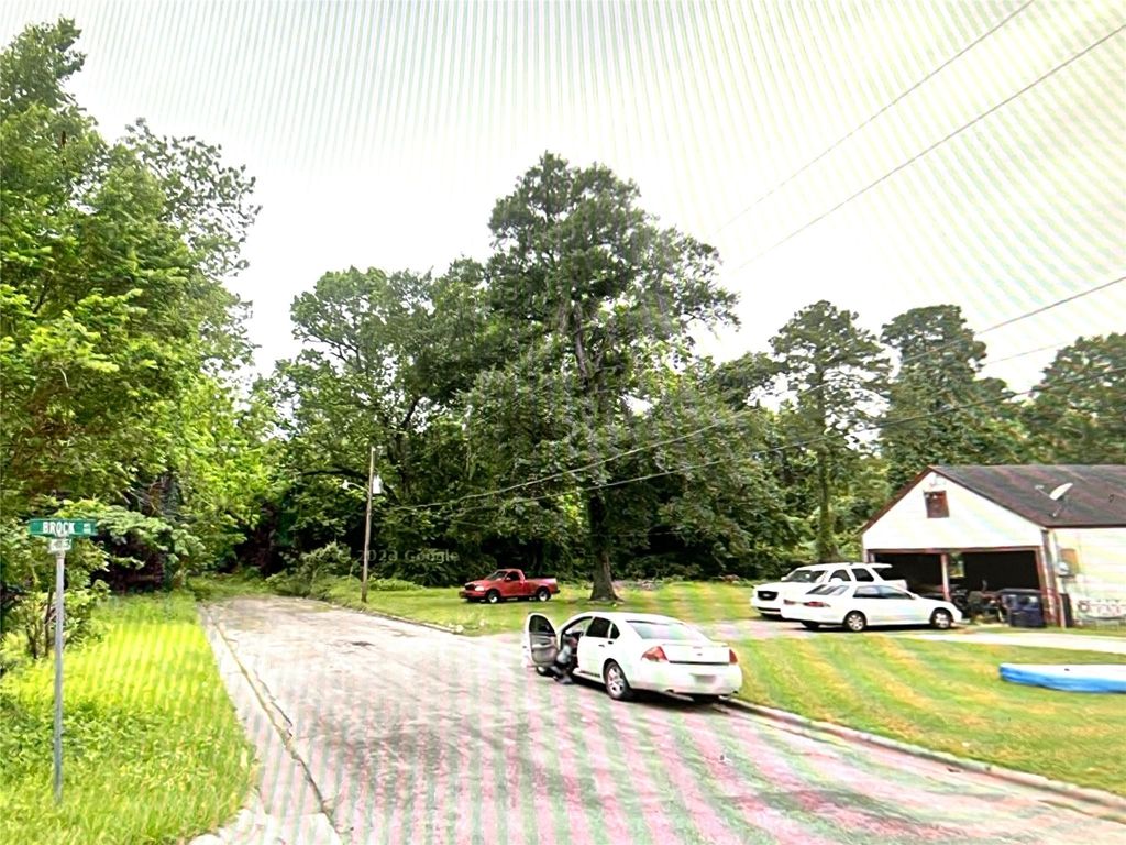 310 Ogletree Street, Livingston, TX 77351