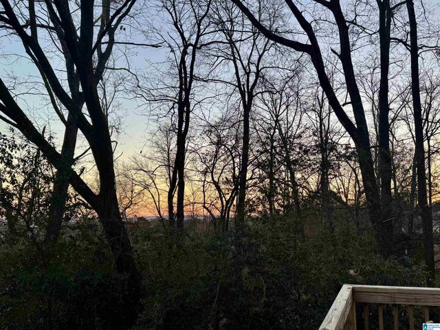 2806 OVERTON ROAD, Mountain Brook, AL 35223