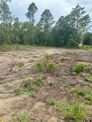 TBD NE 151ST TERRACE, Williston, FL 32696