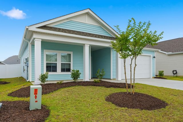 210 Autumn Olive Place, Longs, SC 29568