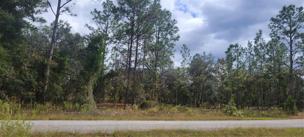 0 SW ARROW LEAF TRAIL, Dunnellon, FL 34431