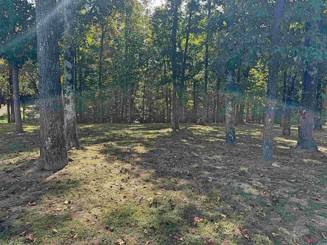 508 Harding Blvd, Mountain View, AR 72560