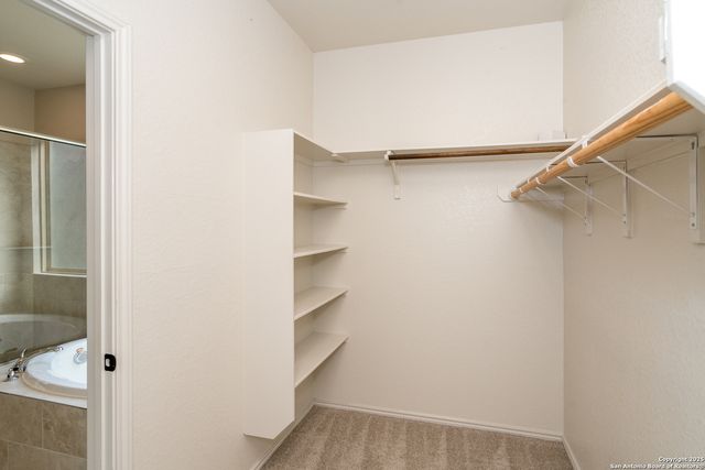 9142 yearling, San Antonio, TX 78254