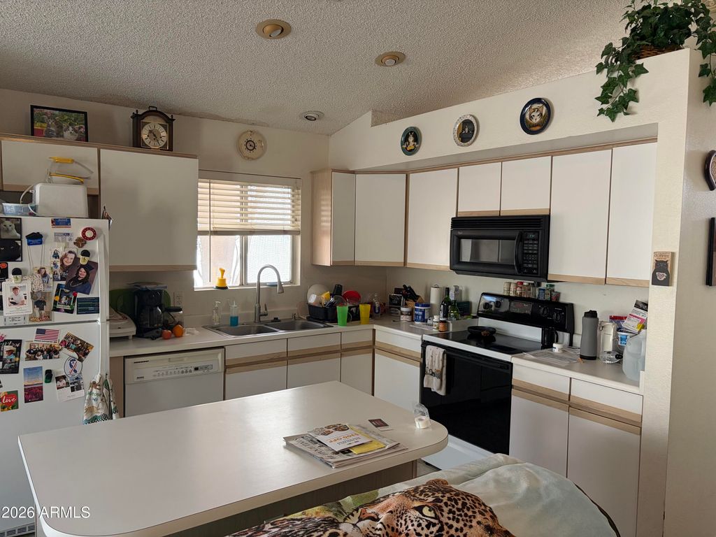 3520 E WICKIEUP Lane *SHARP, Phoenix, AZ 85050 — photo 3