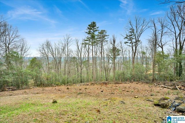 1042 SHADES CREST ROAD, Hoover, AL 35226