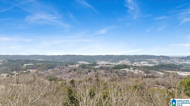 1042 SHADES CREST ROAD, Hoover, AL 35226