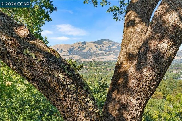300 Oak View Ter, Danville, CA 94526