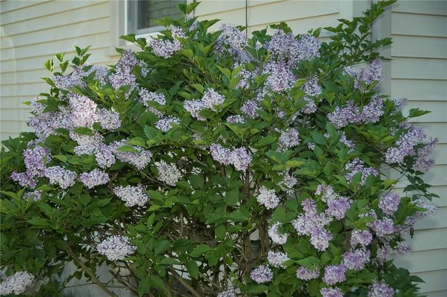 23 Perkins Street, Warwick, RI 02886