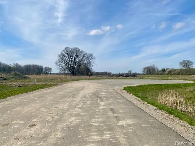0005C Daisy Lane, Almont Township, MI 48003