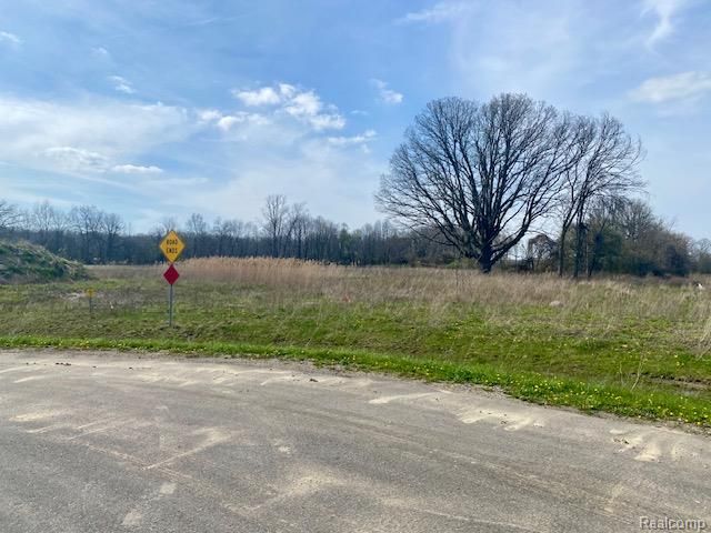 0005C Daisy Lane, Almont Township, MI 48003