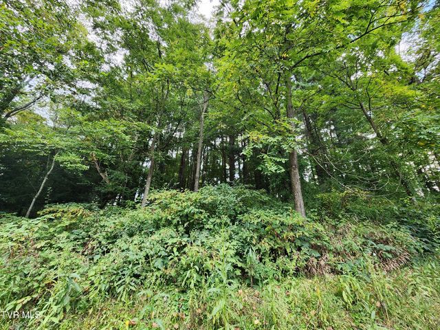 310 Northeast Centre Avenue, Coeburn, VA 24230