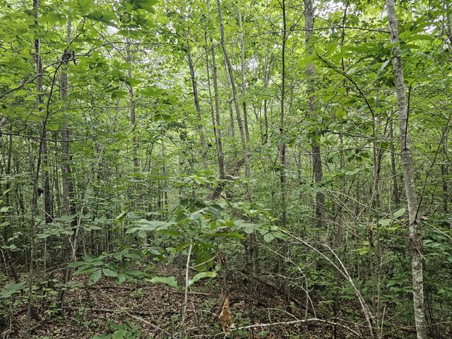 26131 State Route 108, Coalmont, TN 37313