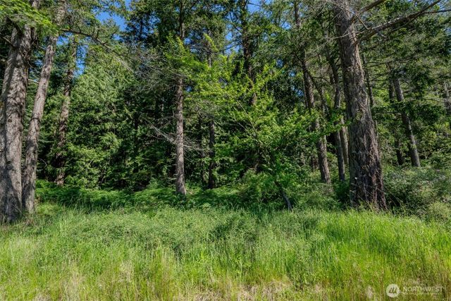 140 Judith Lane, Orcas Island, WA 98245