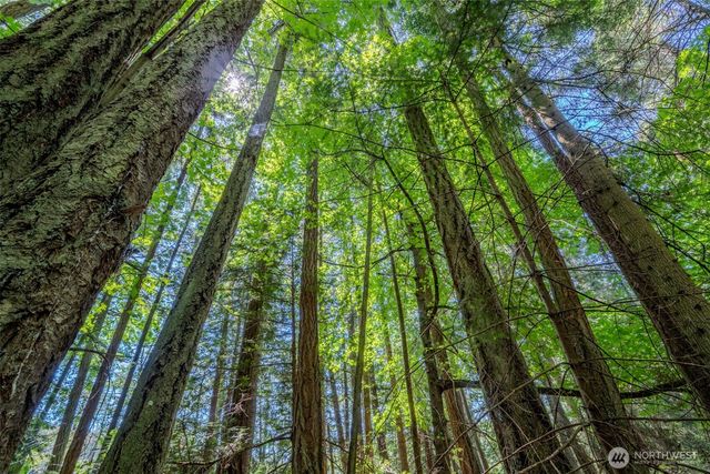 140 Judith Lane, Orcas Island, WA 98245