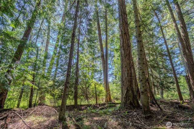 140 Judith Lane, Orcas Island, WA 98245