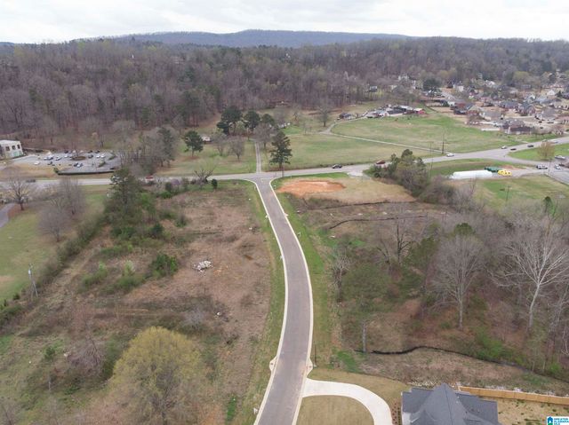 131 BISHOP CREEK LANE, Birmingham, AL 35242