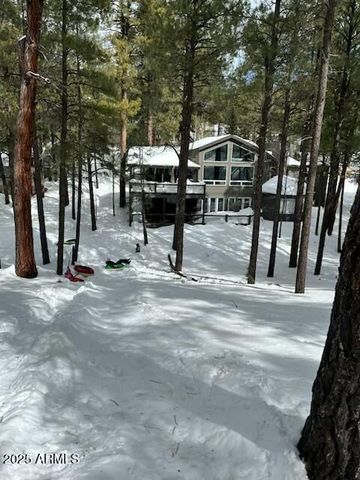2777 BEAR HOWARD --, Flagstaff, AZ 86005