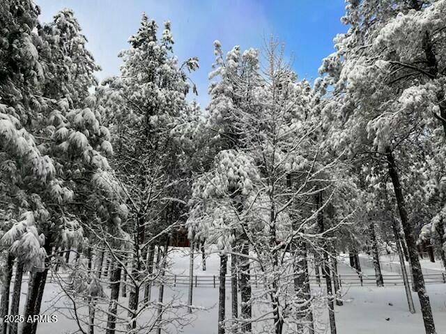 2777 BEAR HOWARD --, Flagstaff, AZ 86005