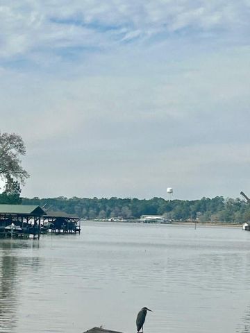 157 Honeysuckle, Livingston, TX 77351