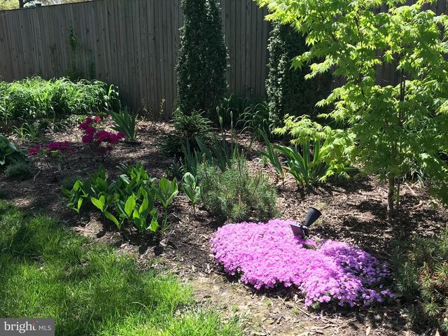 1133 ANESBURY LN, Alexandria, VA 22308