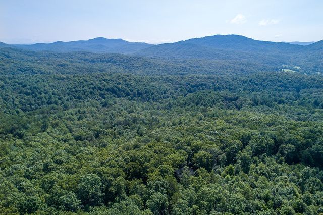 1 and 2 Blue Arrow Lane, Mineral Bluff, GA 30559