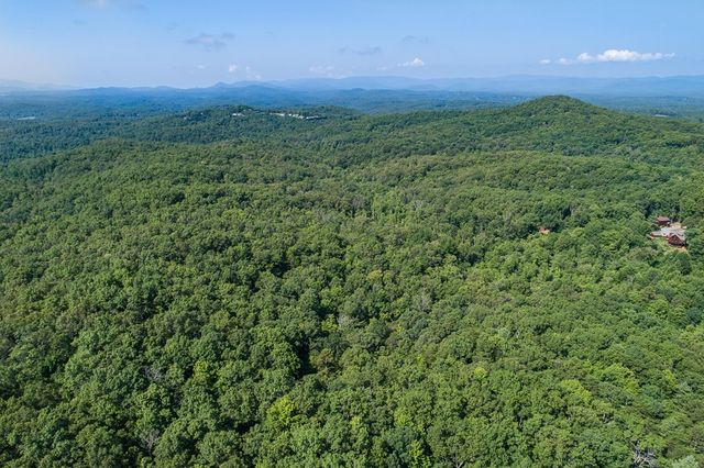 1 and 2 Blue Arrow Lane, Mineral Bluff, GA 30559