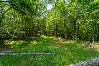 1 and 2 Blue Arrow Lane, Mineral Bluff, GA 30559