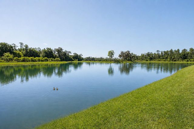 3880 MELLON DRIVE, Odessa, FL 33556