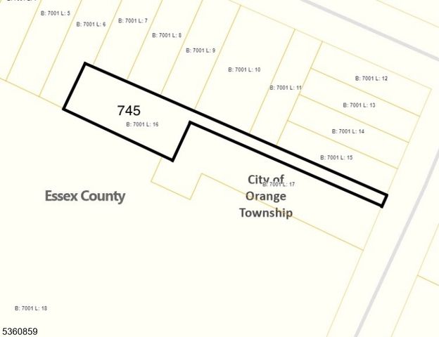 745 Valley St, City Of Orange Twp., NJ 07050