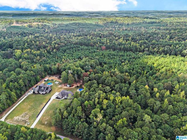 3016 LONG BRANCH DRIVE, Calera, AL 35040