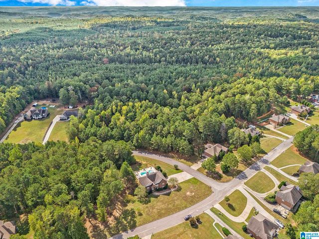 3016 LONG BRANCH DRIVE, Calera, AL 35040