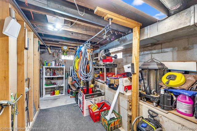 11050 Charles Drive, Byron, MI 48418