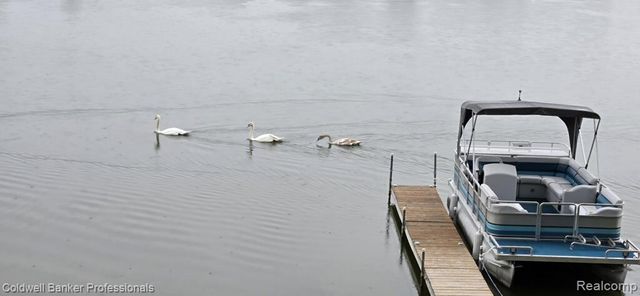 11050 Charles Drive, Byron, MI 48418