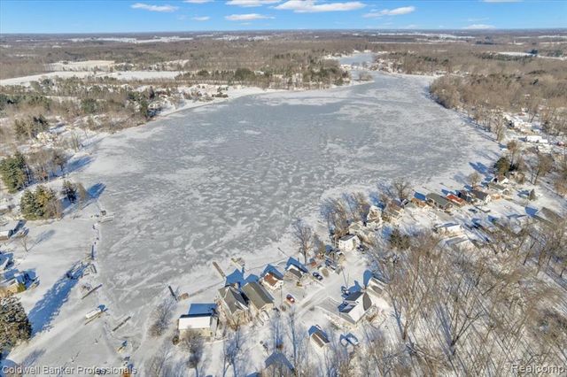 11050 Charles Drive, Byron, MI 48418