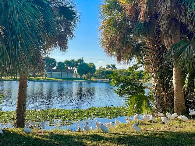 3402 Cynthia Lane 205, Lake Worth Beach, FL 33461
