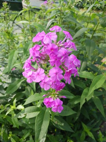 160 Chippewa Road, Pontiac, MI 48341