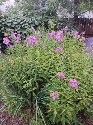 160 Chippewa Road, Pontiac, MI 48341