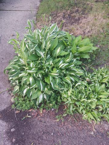 160 Chippewa Road, Pontiac, MI 48341