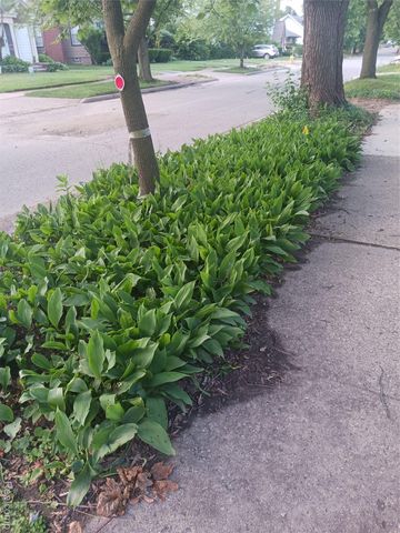 160 Chippewa Road, Pontiac, MI 48341