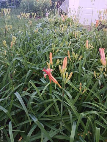 160 Chippewa Road, Pontiac, MI 48341