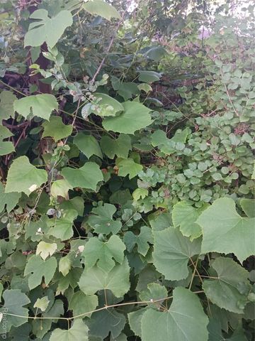 160 Chippewa Road, Pontiac, MI 48341