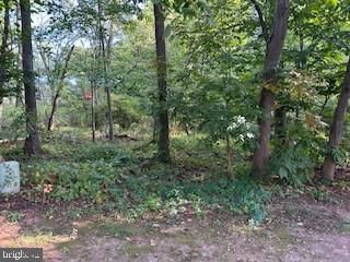 113 CLEMENS CT, Lansdale, PA 19446