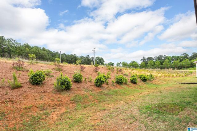 315 ANTLER WAY, Lincoln, AL 35096