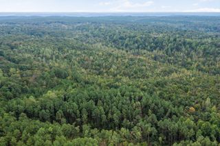 1 Peachwood Lane, Camden, TN 38320