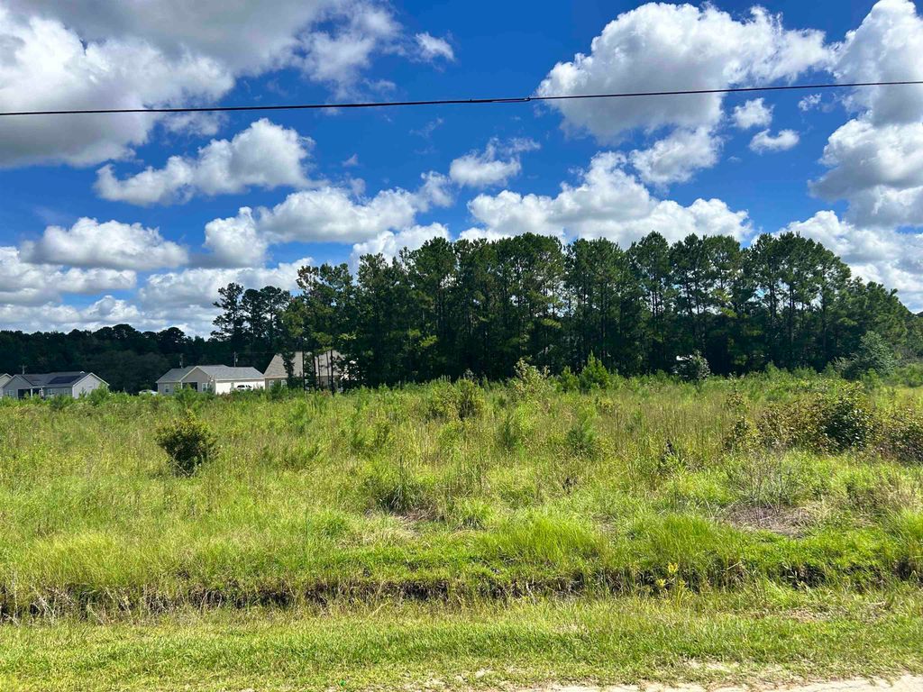 919 Suggs St., Loris, SC 29569 — exterior