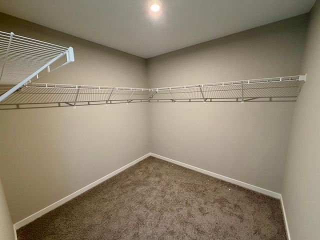 903 Misty Meadow Boulevard, Buffalo, MN 55313