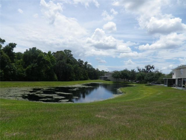 15965 FISHHAWK VIEW DRIVE, Lithia, FL 33547