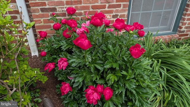 3611 KING WILLIAM DR, Olney, MD 20832