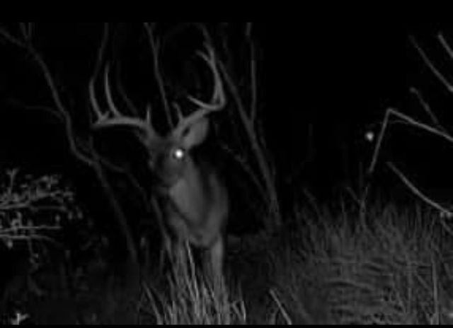 736 CR 421 RD, Waelder, TX 78959